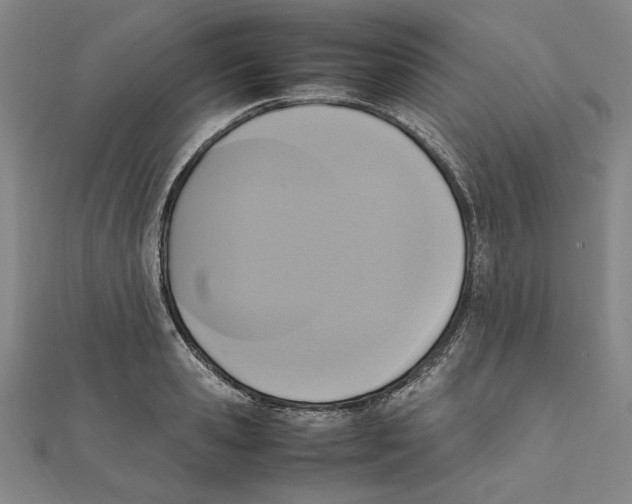 X0000111650941200908141248