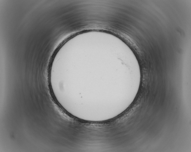 X0000111650942200908141248