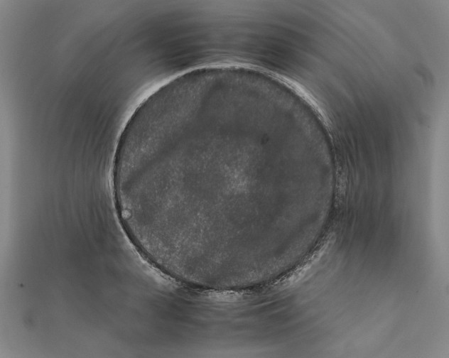 X0000111650943200908141248