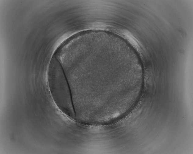 X0000111650944200908141248