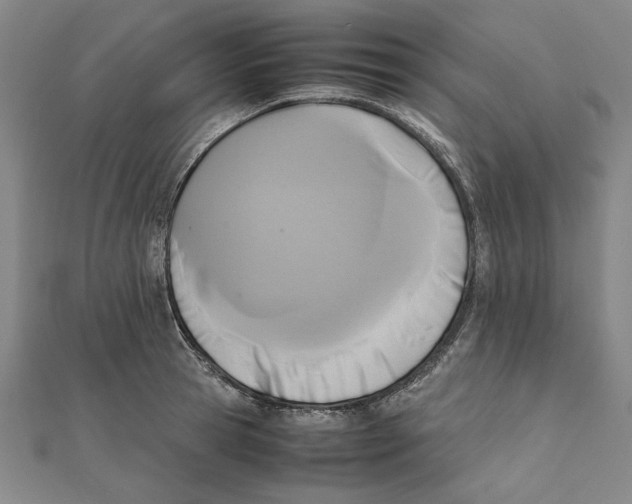 X0000111650945200908141248
