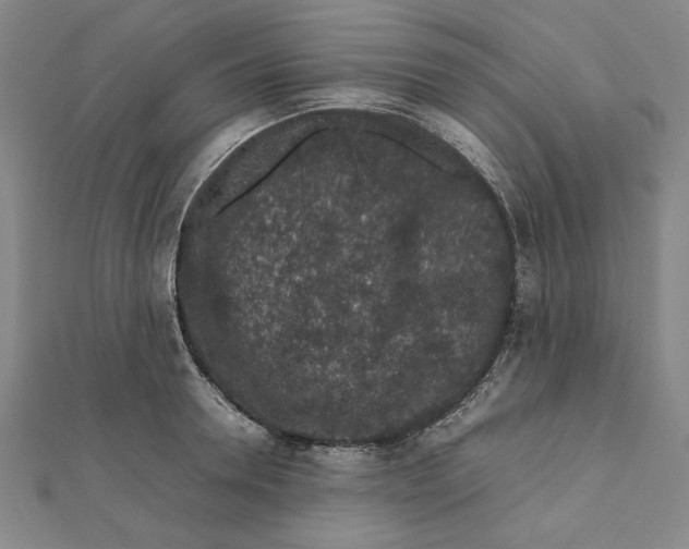X0000111650946200908141248