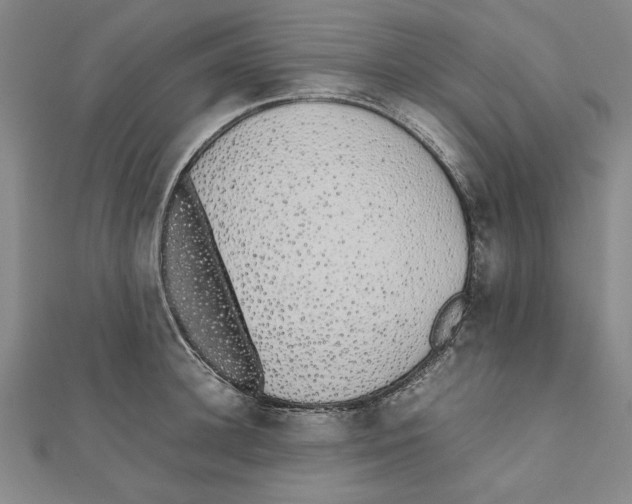 X0000111650948200908141248
