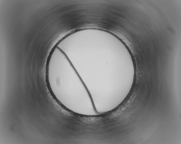 X0000111650949200908141248