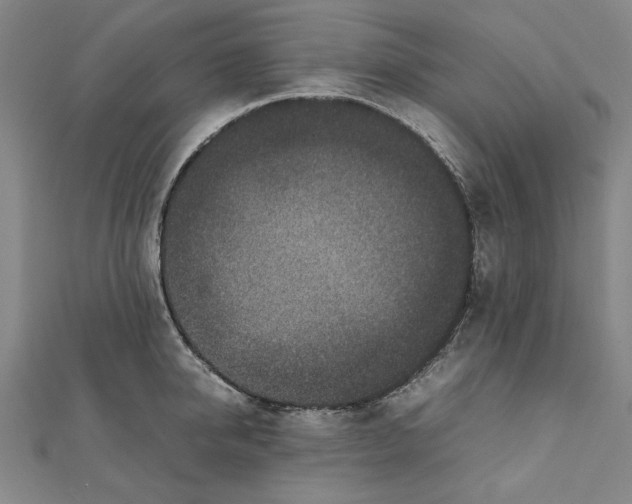 X0000111650950200908141248