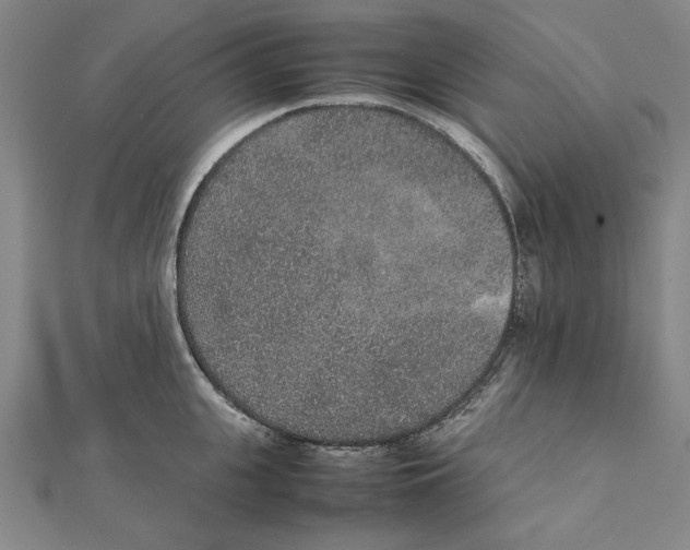 X0000111650951200908141248
