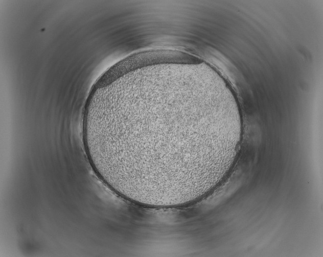 X0000111650952200908141248