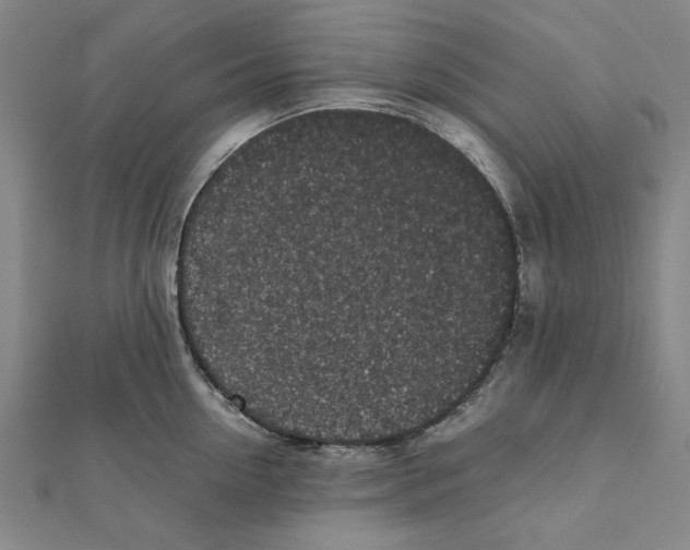 X0000111650954200908141249