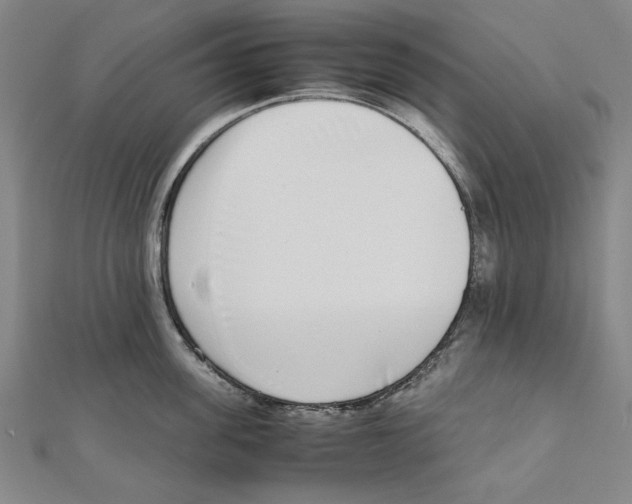 X0000111650955200908141249