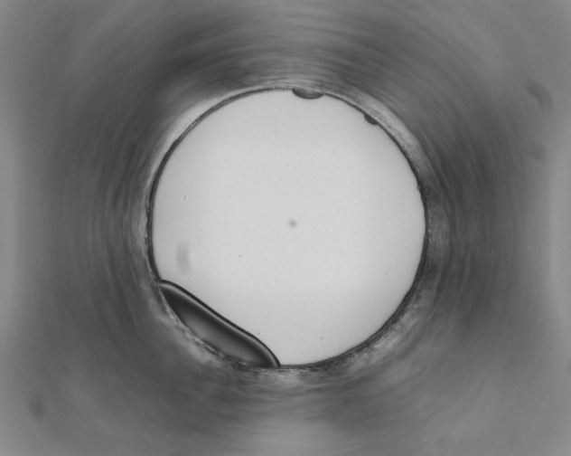 X0000111650956200908141249