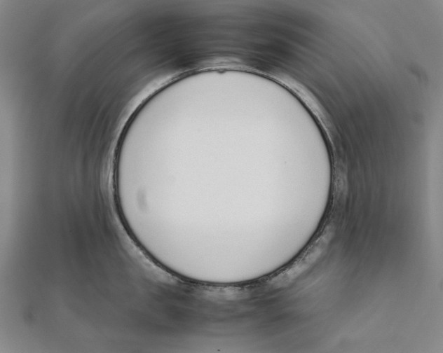 X0000111650957200908141249