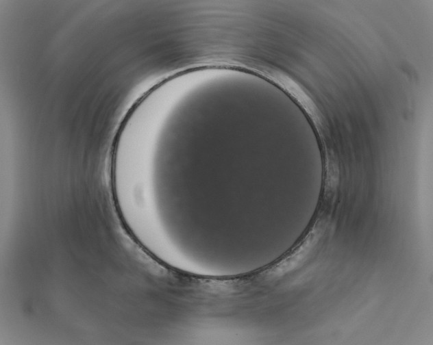 X0000111650958200908141249