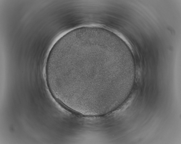 X0000111650959200908141249