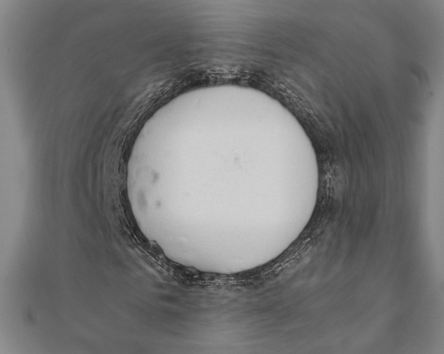 X0000111650961200908141248