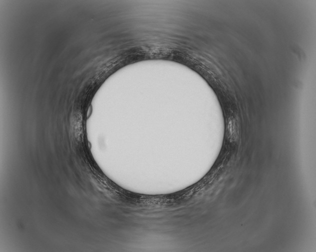 X0000111650963200908141248