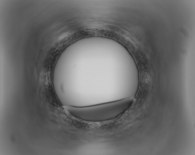 X0000111650965200908141248