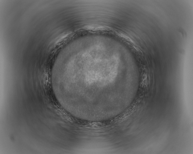X0000111650966200908141248