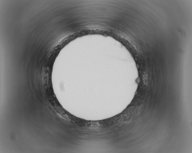 X0000111650968200908141248