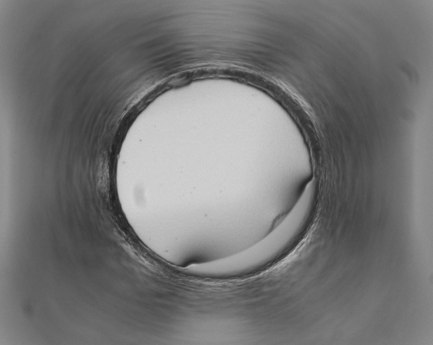 X0000111650969200908141248