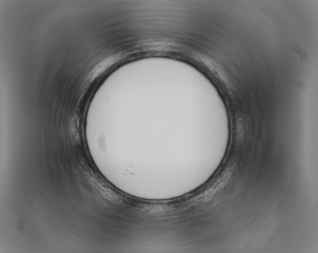 X0000111650970200908141248