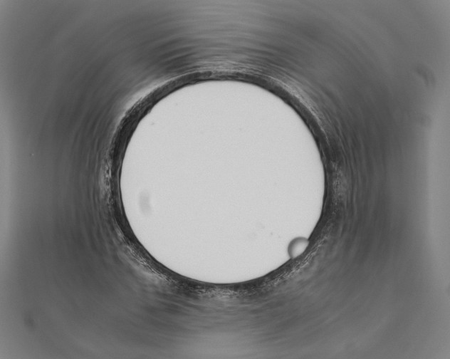 X0000111650971200908141248