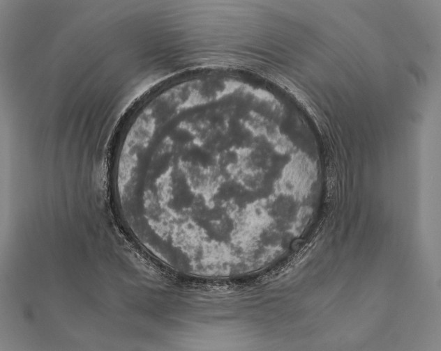 X0000111650975200908141248
