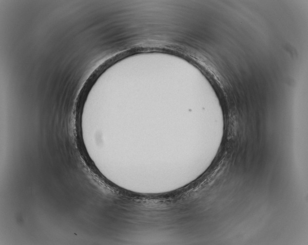 X0000111650976200908141248