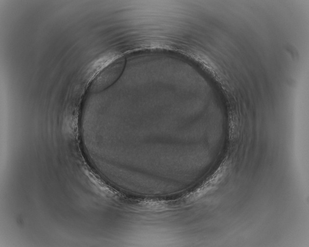 X0000111650977200908141247
