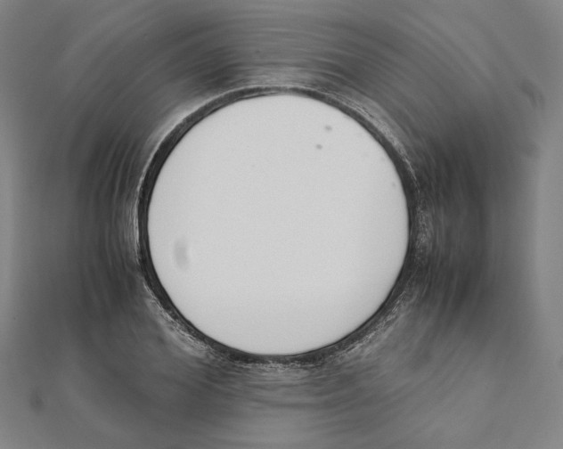 X0000111650980200908141247