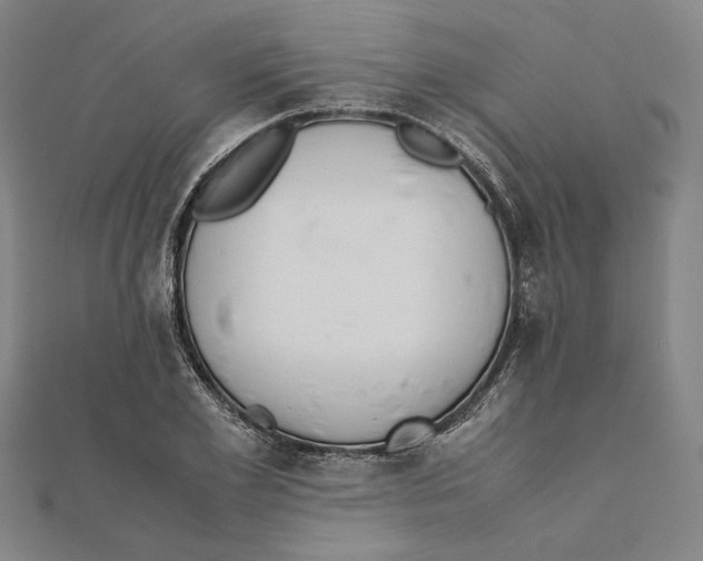 X0000111650981200908141247