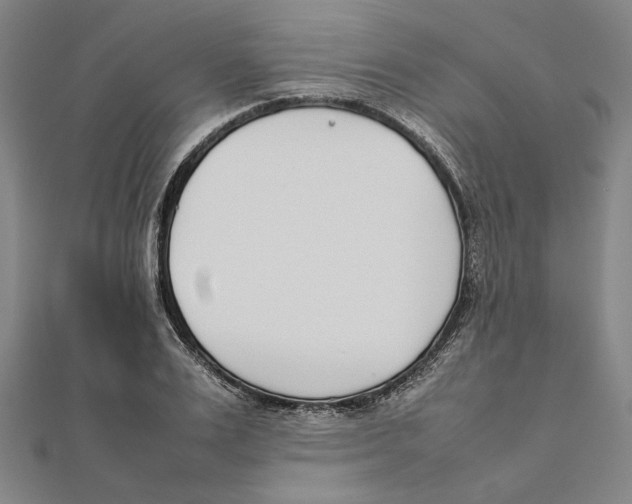 X0000111650983200908141247