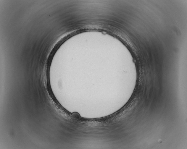 X0000111650984200908141247