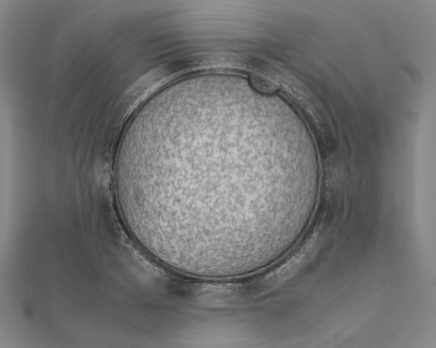 X0000111650985200908141247