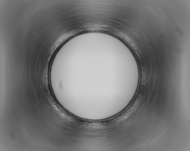 X0000111650986200908141247