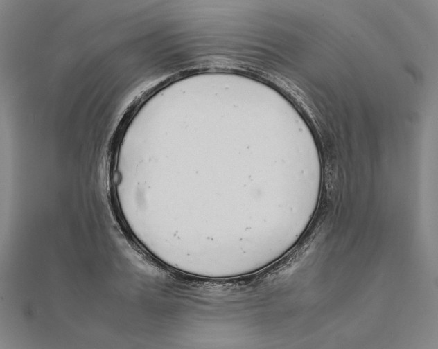 X0000111650987200908141247