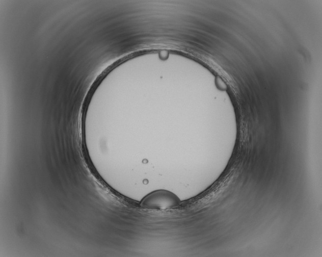 X0000111650988200908141247