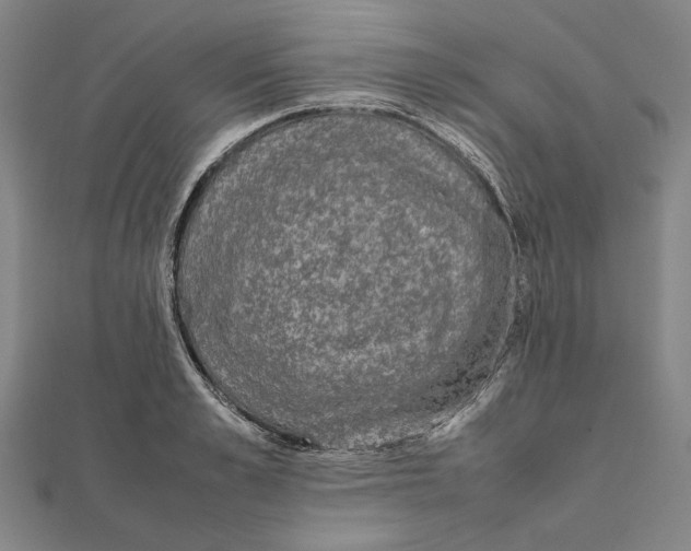 X0000111650989200908141247