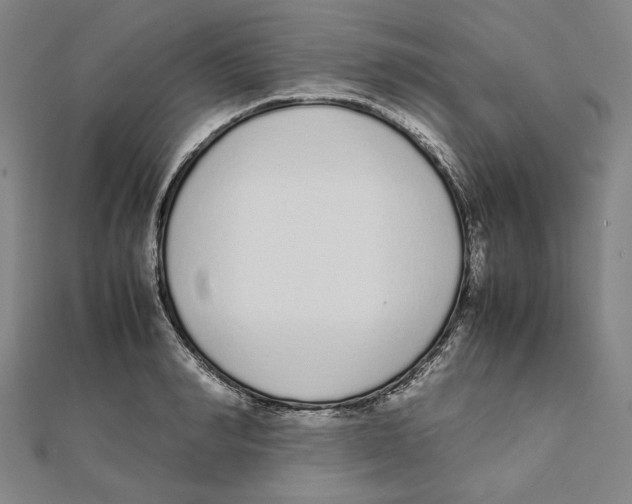 X0000111650990200908141247