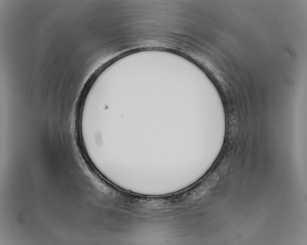 X0000111650991200908141247