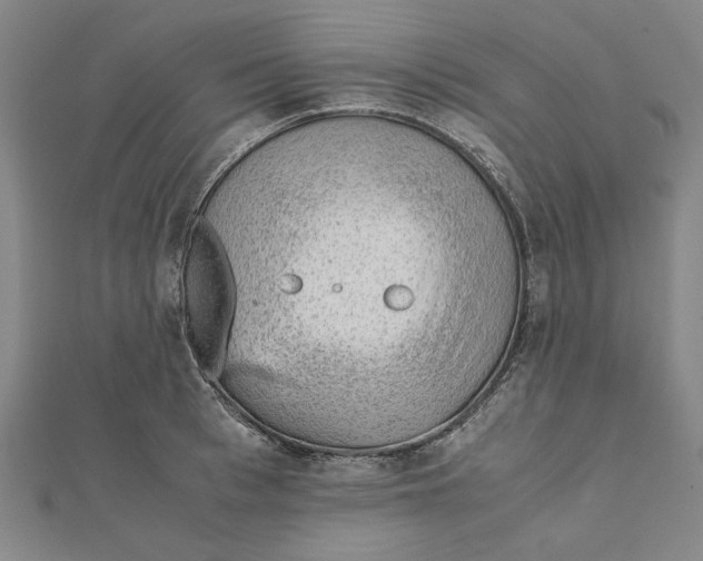 X0000111650993200908141247