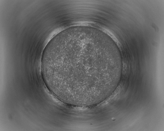 X0000111650994200908141247