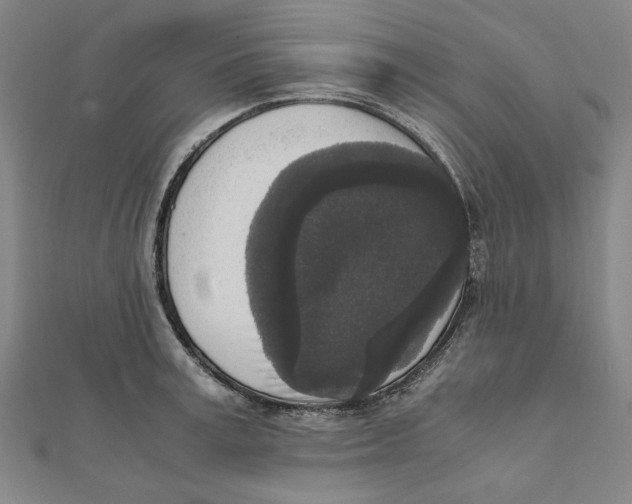 X0000111650995200908141247