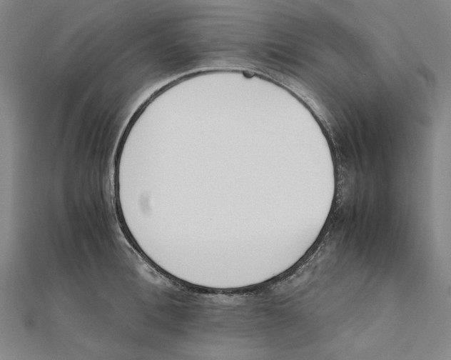 X0000111650996200908141247