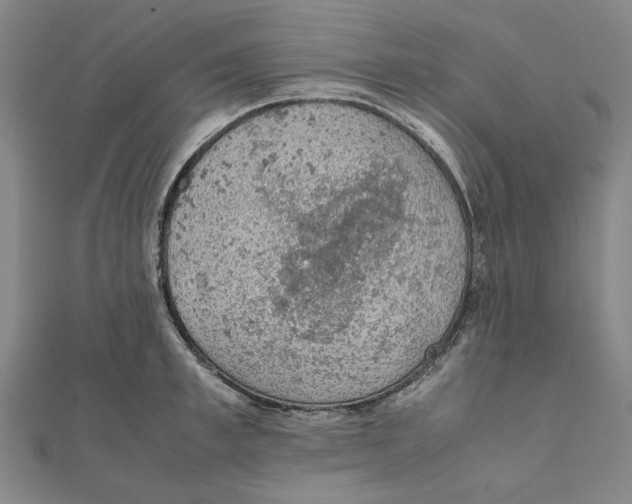 X0000111650997200908141247