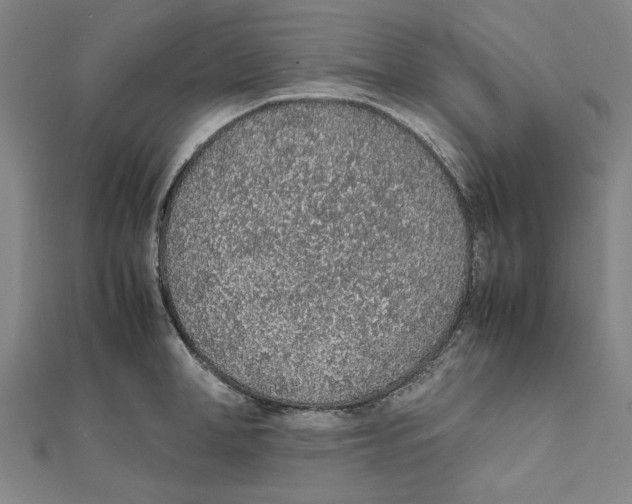 X0000111650998200908141247