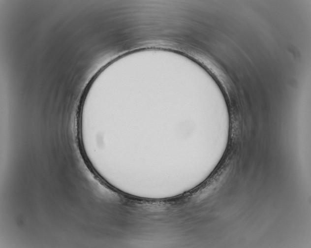 X0000111650999200908141247