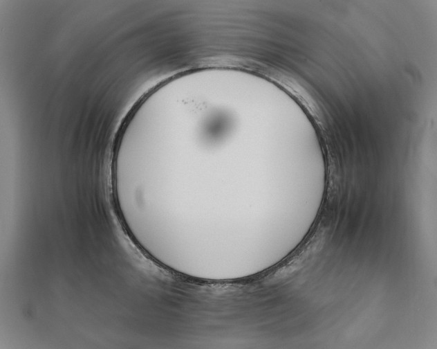 X0000111651000200908141247