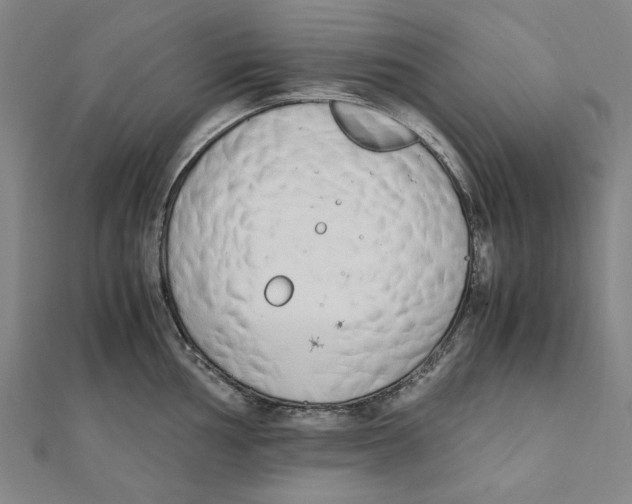 X0000111651002200908141247
