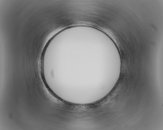 X0000111651003200908141247