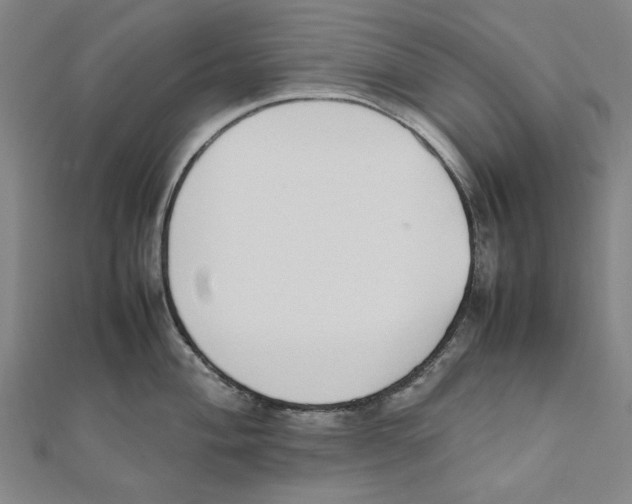 X0000111651004200908141247